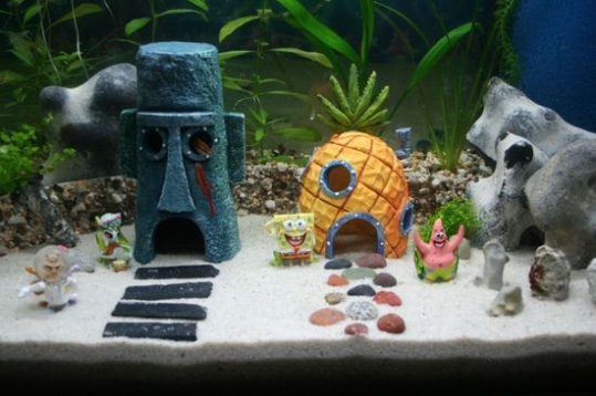 Spruce Up Your Fish Tank: Creative Ideas For Stylish Aquarium Decor