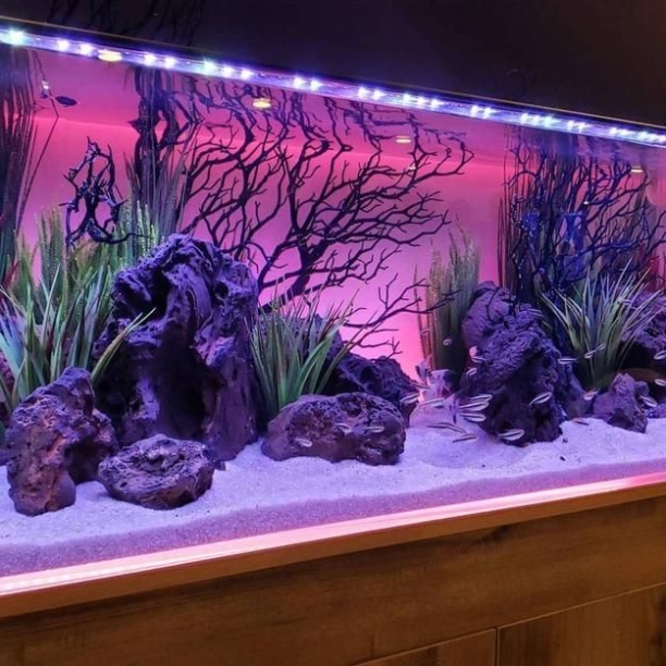 Niche Utama 1 Original Fish Tank Decorations,  Creative Aquarium Decorating Ideas