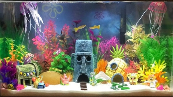 10 Out-of-the-Box Fish Tank Decor Ideas To Make Your Aquarium Pop!